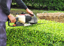 garden-care-new-home
